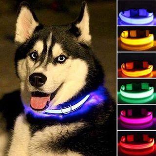LED DOG ADJUSTABLE COLLAR