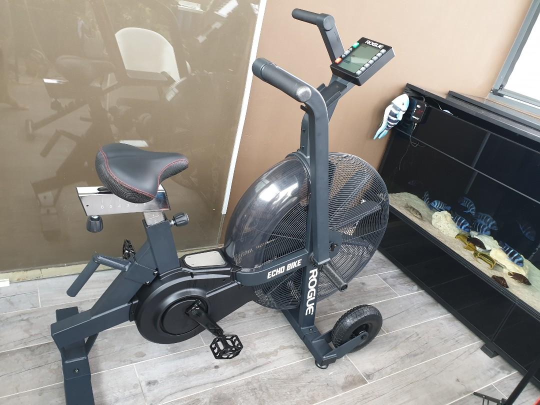 Rogue echo bike for sales sale used