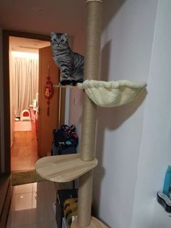 (Category: ) located in . Submitted by cat_char (Listing ID 1023886531, Image 1). Description: .