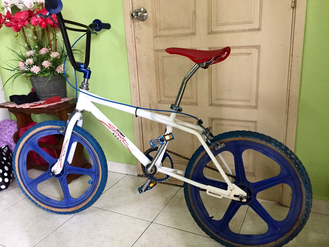 skyway freestyle bmx