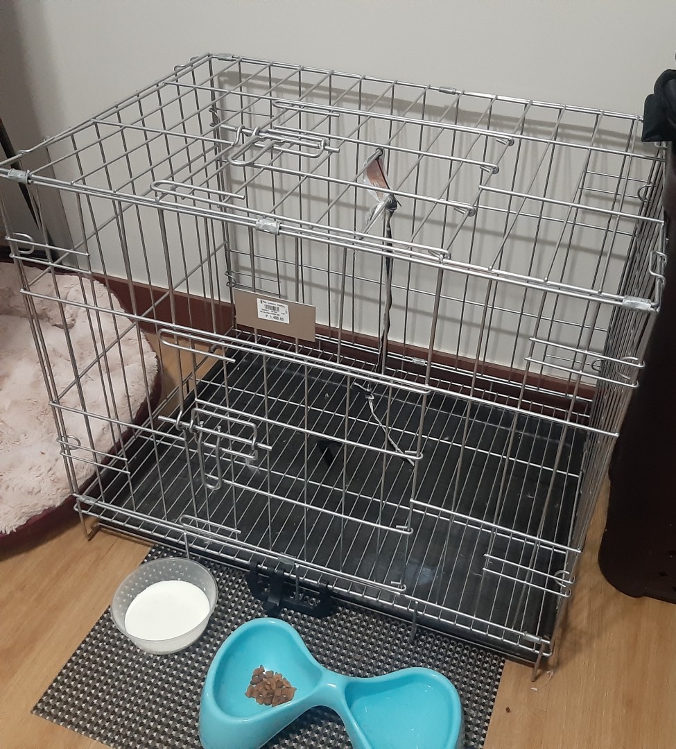 collapsible pet cage