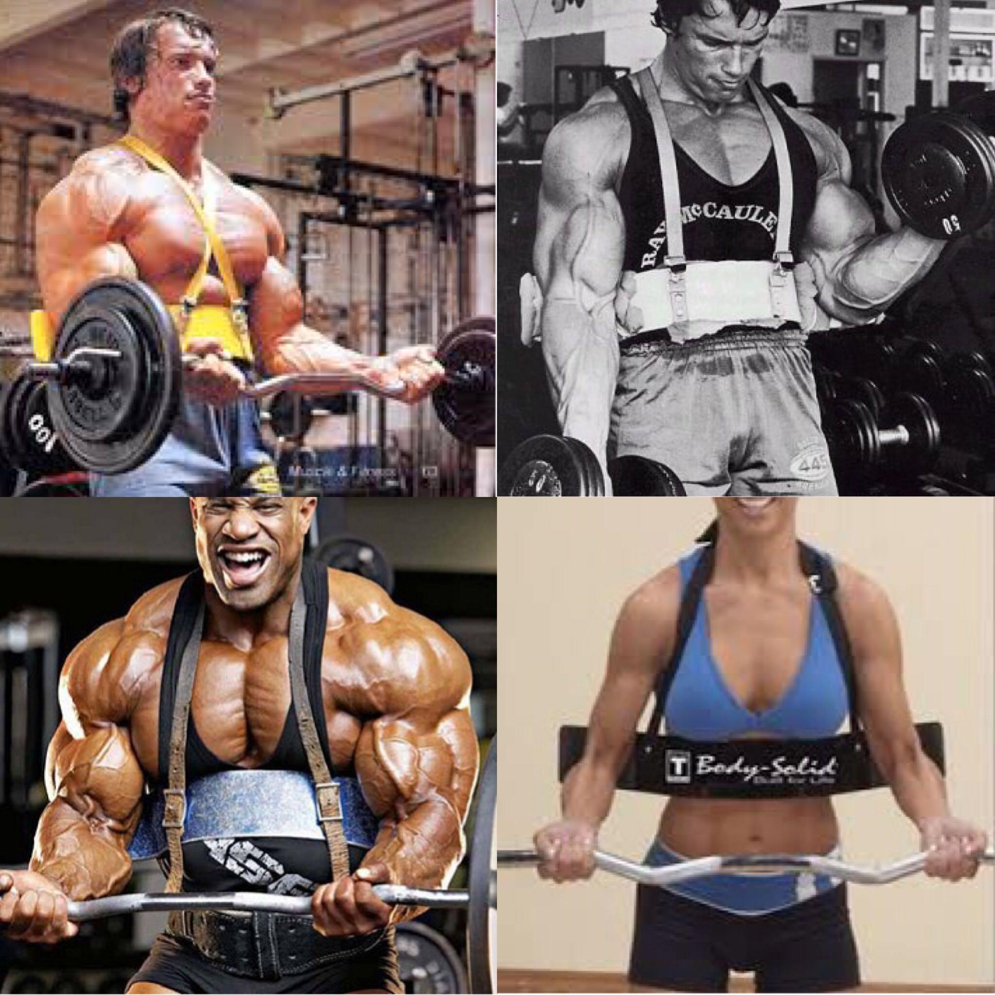 Body solid arm blaster clearance