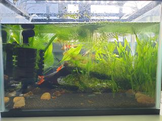 (Category: ) located in . Submitted by hamsandwich (Listing ID 1023948916, Image 1). Description: .