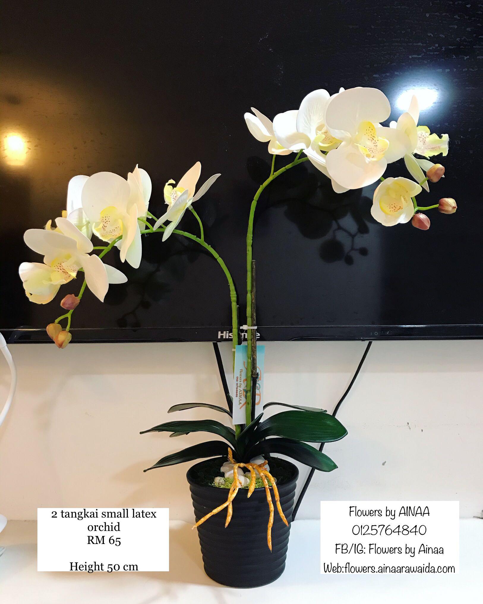 2 Tangkai Small Latex Orchid Murah Cantik Minimalist Home Furniture Home Decor On Carousell