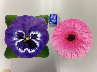 （分類：）位於 。 由 upashop 提交（商品編號 1024040152，圖片 1）。簡介： 。