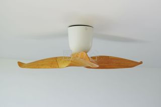 （分類：）位於 。 由 nmc8282 提交（商品編號 1024068910，圖片 1）。簡介： 。