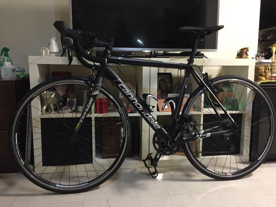 新品 】 caad8 size51 - 自転車本体 - www.qiraatafrican.com 新品 】 caad8 size51 - 自転車本体 - www.qiraatafrican.com