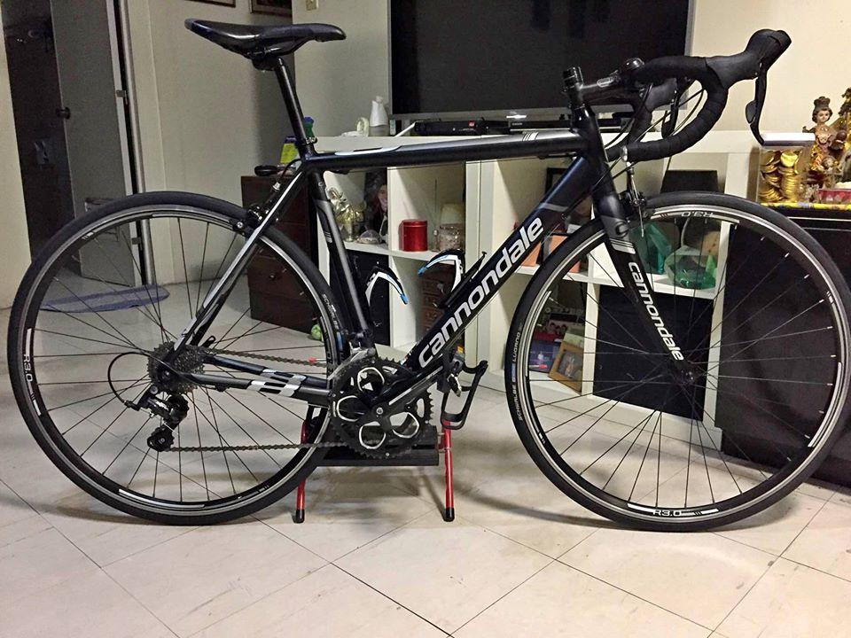 新品 】 caad8 size51 - 自転車本体 - www.qiraatafrican.com 新品 】 caad8 size51 - 自転車本体 - www.qiraatafrican.com