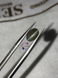 (Category: ) located in . Submitted by tsc_gems (Listing ID 1024028325, Image 1). Description: .