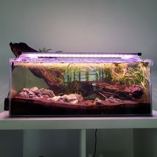 (Category: ) located in . Submitted by camnineteen (Listing ID 1024043048, Image 1). Description: .