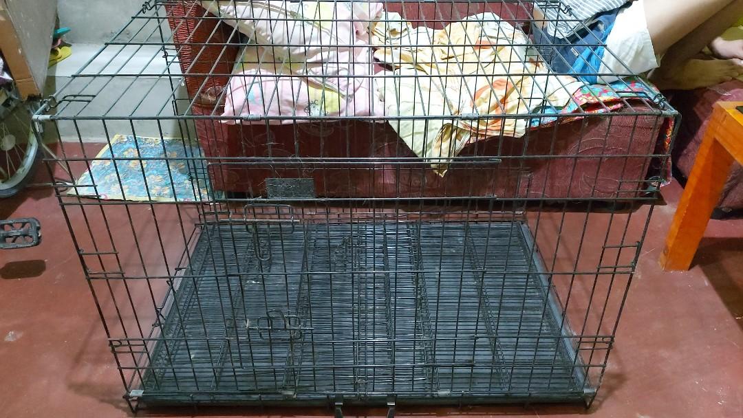very large dog cage