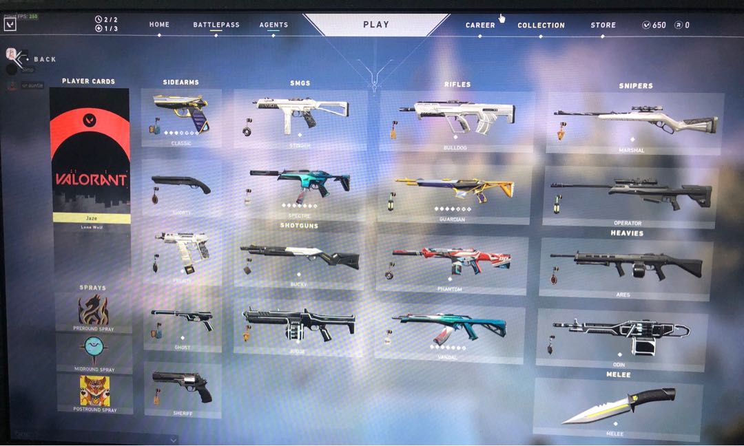 Valorant account with level 50 battlepass & all prime