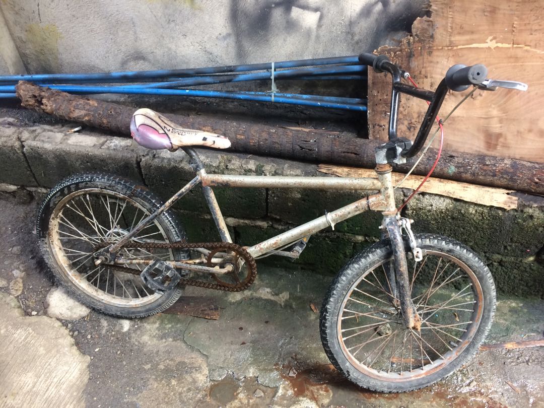 redline 29 bmx
