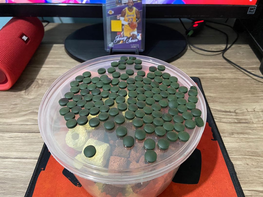 Spirulina Tablet for your ornamental fish one peso each