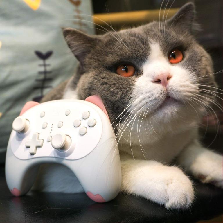 Switch Kitten Controller (Category: Controllers) located in Singapore. Submitted by game_sale (Listing ID 1024119273, Image 3). Description: *Promo Sale* Japan Import* Latest Switch Controller Package with a 1m USB to Type C charger cable Charging 3 hours. Lasts for 8 hours of game play With Auto-fire function also can cancel the auto fire Dual motors vibration and adjustable,Six axis gyroscope IINE patented design.