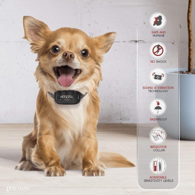 F4QFH PetKing Premium Anti Bark Collar for Small Large Dogs No Shock Bark Collars Dog Anti