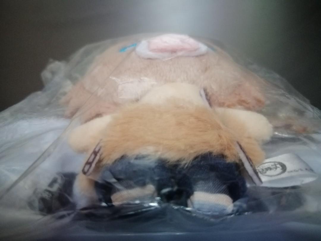Kimetsu no Yaiba (Demon Slayer) Nitotan Plush: Inosuke, Hobbies & Toys ...