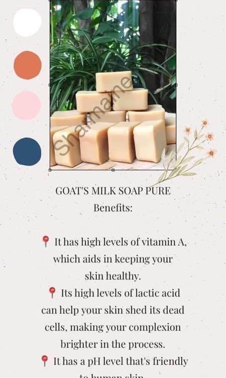 Goat’s milk soap (Category: Health Food, Drinks & Tonics) located in Makati City. Submitted by andeng28 (Listing ID 1024229265, Image 3). Description: Good for the skin Acne pimples Darkened areas .