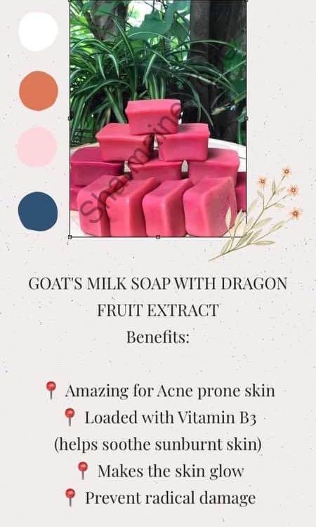 Goat’s milk soap (Category: Health Food, Drinks & Tonics) located in Makati City. Submitted by andeng28 (Listing ID 1024229265, Image 2). Description: Good for the skin Acne pimples Darkened areas .