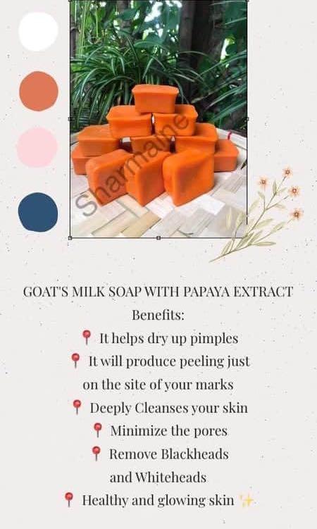 Goat’s milk soap (Category: Health Food, Drinks & Tonics) located in Makati City. Submitted by andeng28 (Listing ID 1024229265, Image 1). Description: Good for the skin Acne pimples Darkened areas .