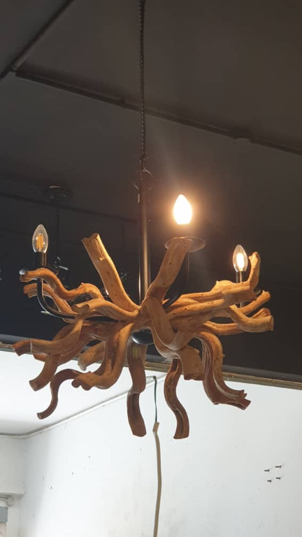 Indonesia Swamp Tree Root Lamp, Tree Root Light Fixture