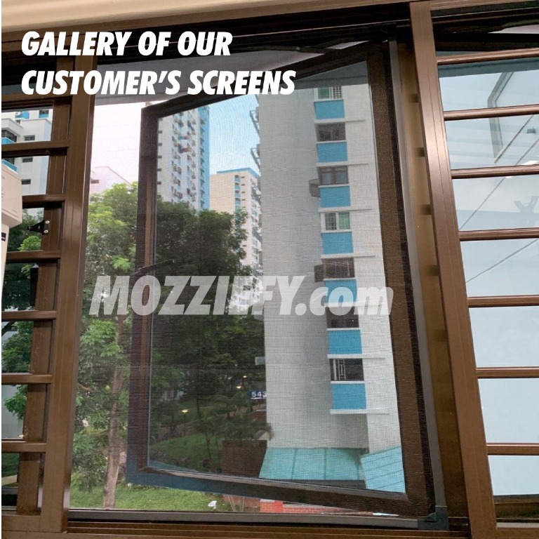 INSTALLATION: Magnetic Mosquito Net / Insect Screen Window Mesh / Dengue Prevention