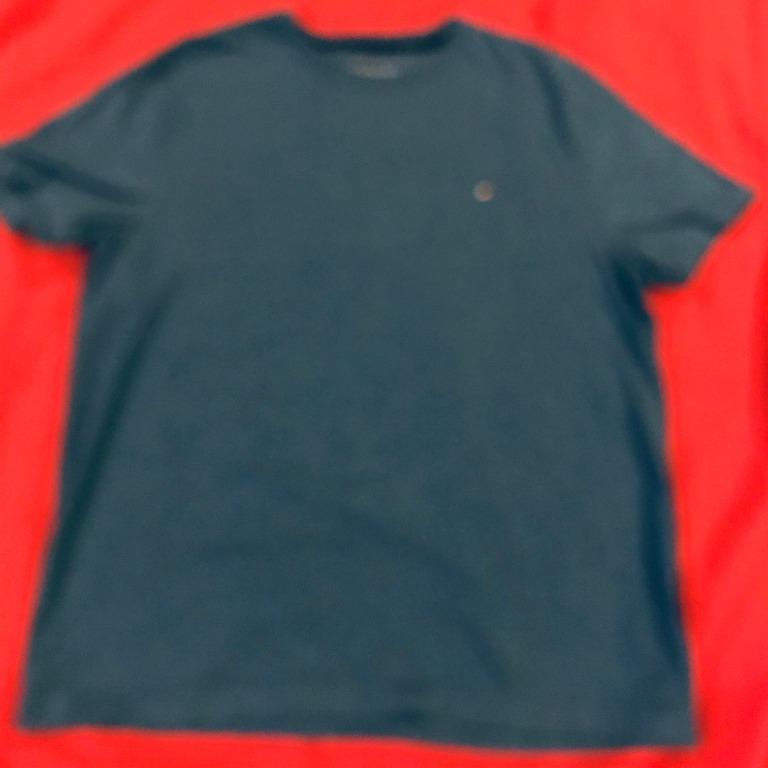 teal tommy hilfiger shirt