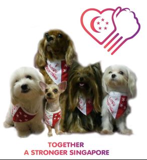 (Category: ) located in . Submitted by doggiewardrobe (Listing ID 1024569943, Image 1). Description: .