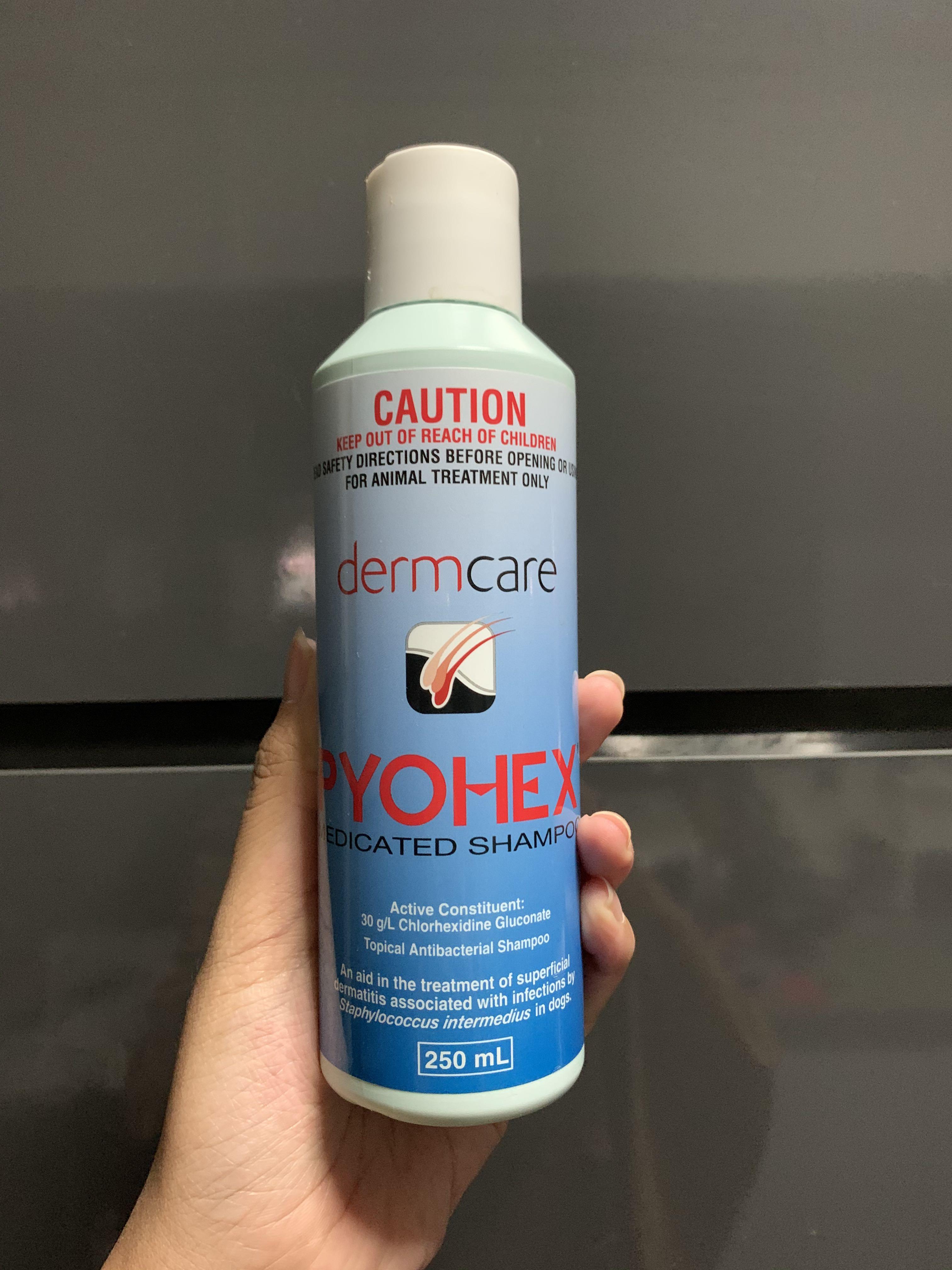 dermcare pyohex medicated shampoo