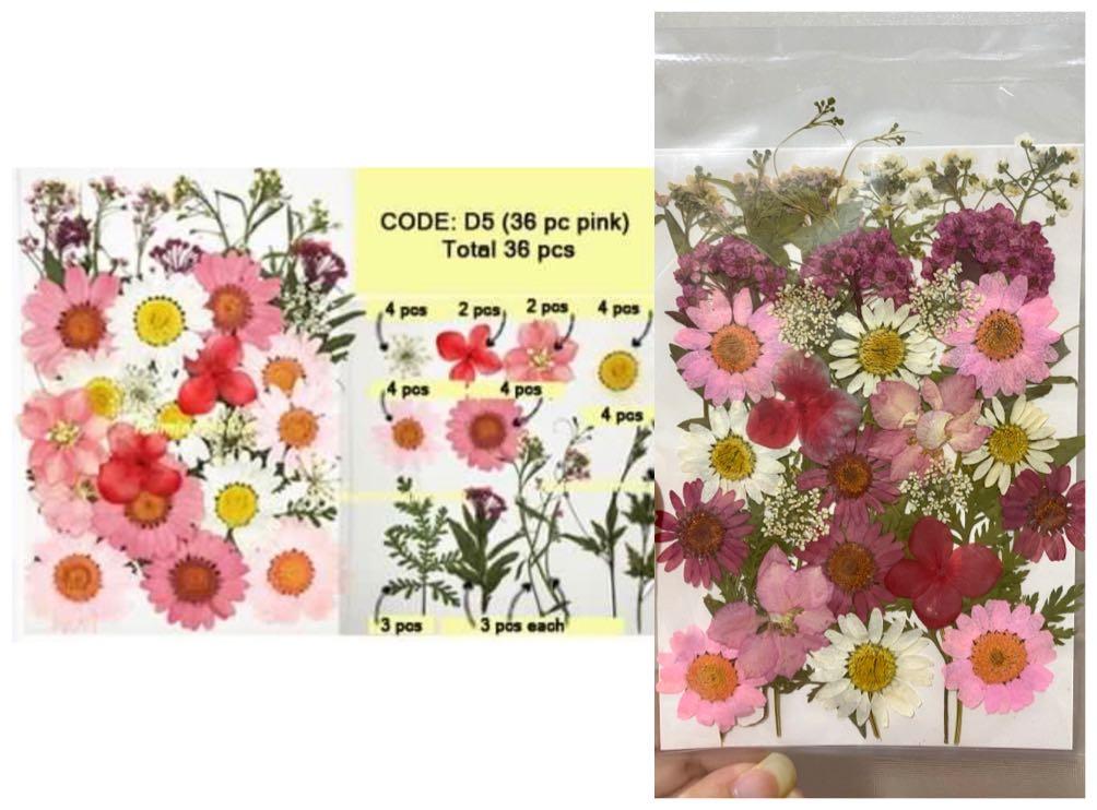 DIY Pressed Flower Frame Kit, Hobbies & Toys, Stationery & Craft, Craft