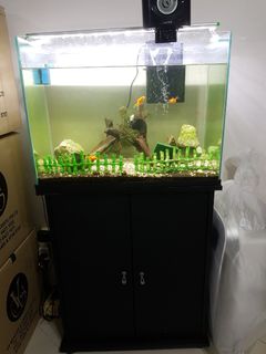 (Category: ) located in . Submitted by gdevling (Listing ID 1024530519, Image 1). Description: .