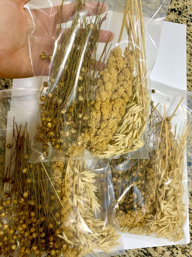 oat spray for hamsters