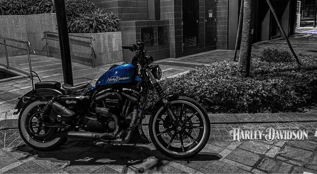 Harley-Davidson Iron 883 2016 (Hong Kong HD dealer)