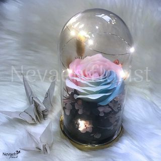 (Category: ) located in . Submitted by nevaeh.florist (Listing ID 1024513821, Image 1). Description: .