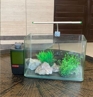 (Category: ) located in . Submitted by mwt321 (Listing ID 1024491555, Image 1). Description: .