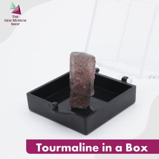 (Category: ) located in . Submitted by thegemmuseumshop (Listing ID 1024485280, Image 1). Description: .