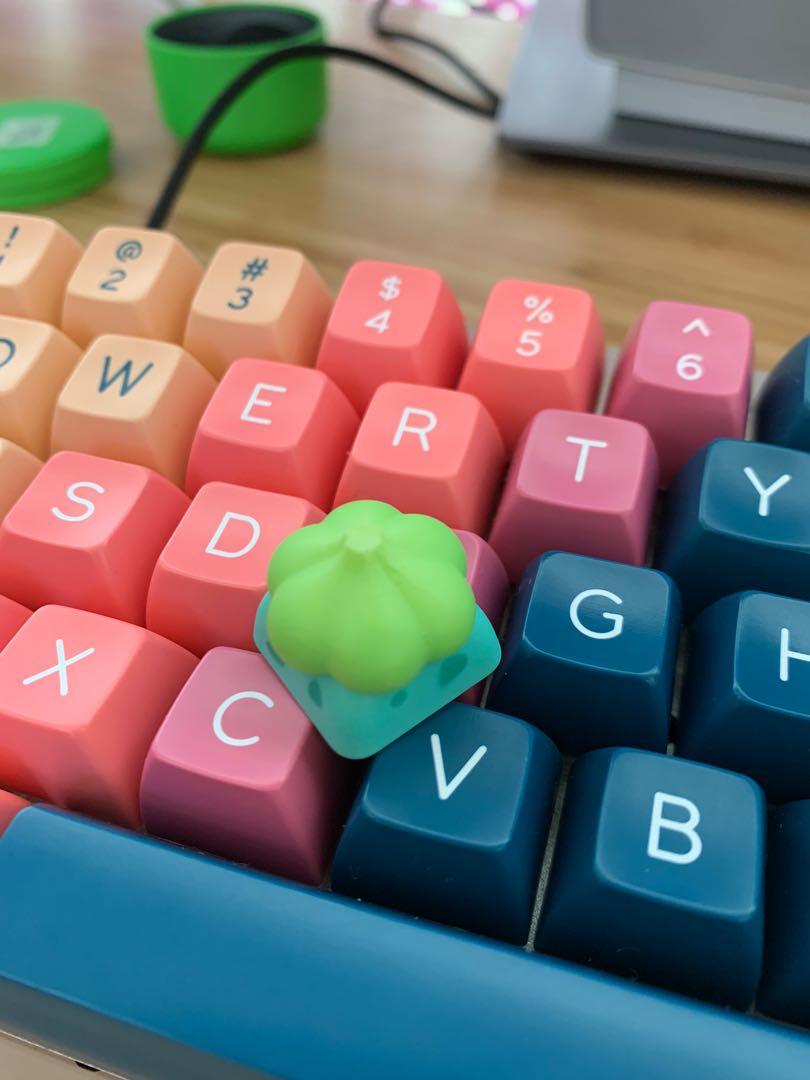 Pokemon Bulbasaur Artisan Keycap Electronics Computer Parts Accessories On Carousell