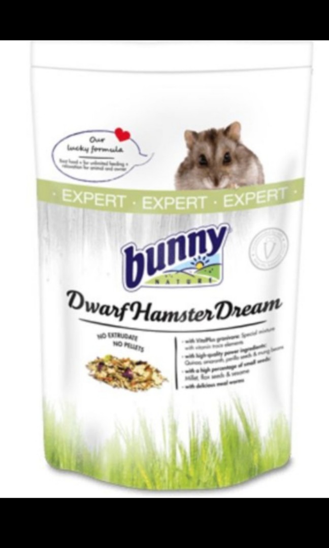 Bunny dwarf 2025 hamster dream