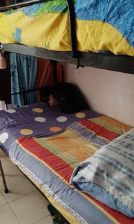 (Category: ) located in . Submitted by hayumatis (Listing ID 1017946429, Image 1). Description: .