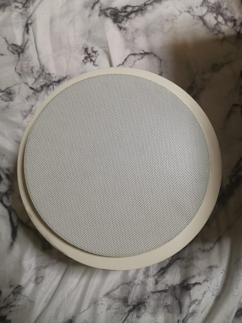 earthquake ceiling speakers