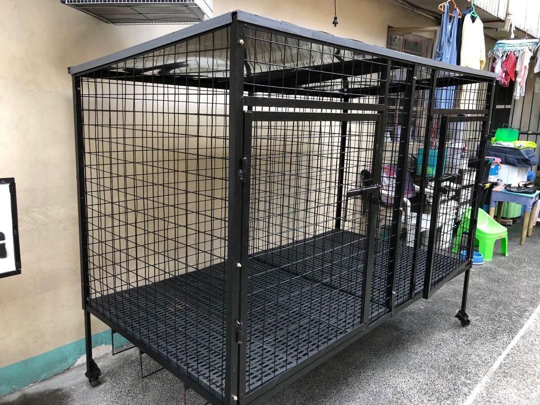 Large dog cages cheap Clearance