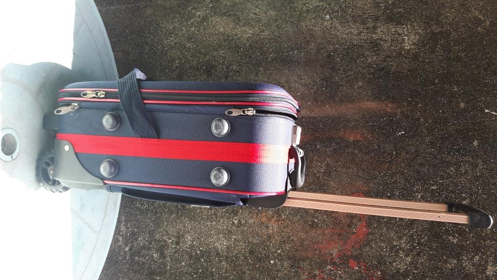 Mandarin Luggage, Hobbies & Toys, Travel, Luggage on Carousell