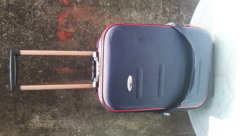 Mandarin Luggage, Hobbies & Toys, Travel, Luggage on Carousell