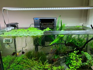 (Category: ) located in . Submitted by sykjohn (Listing ID 1017938627, Image 1). Description: .