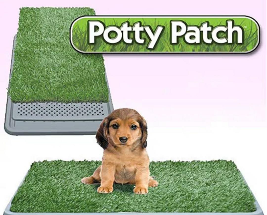 Potty patch large 68 86cm Pet Supplies Homes Other Pet Accessories on Carousell