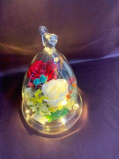 (Category: ) located in . Submitted by doris_florist (Listing ID 1017953877, Image 1). Description: .