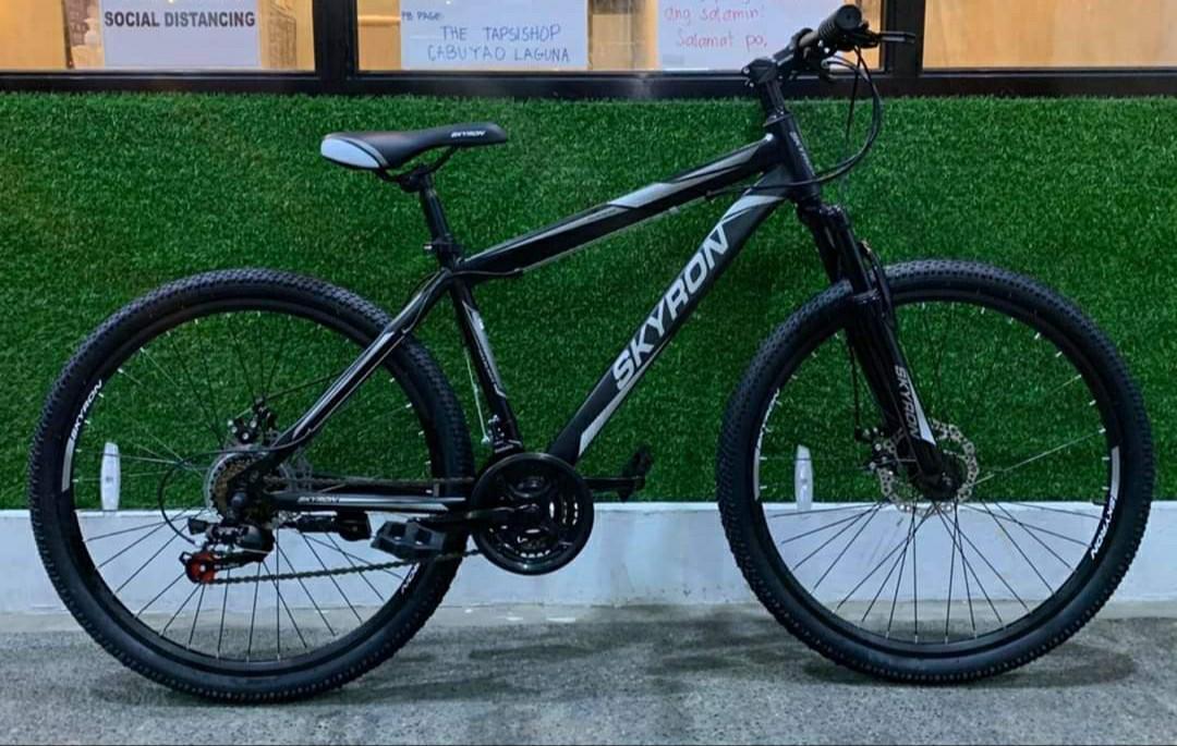 Skyron fixed gear cheap