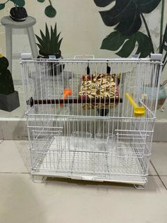 （分類：）位於 。 由 alinaron 提交（商品編號 1024750956，圖片 1）。簡介： 。