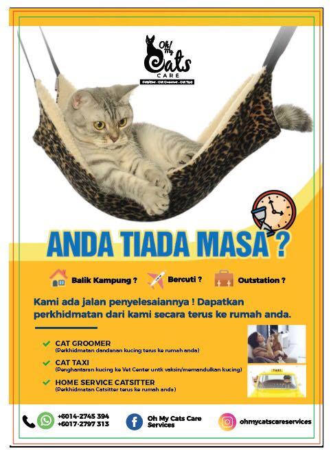 cat grooming home service