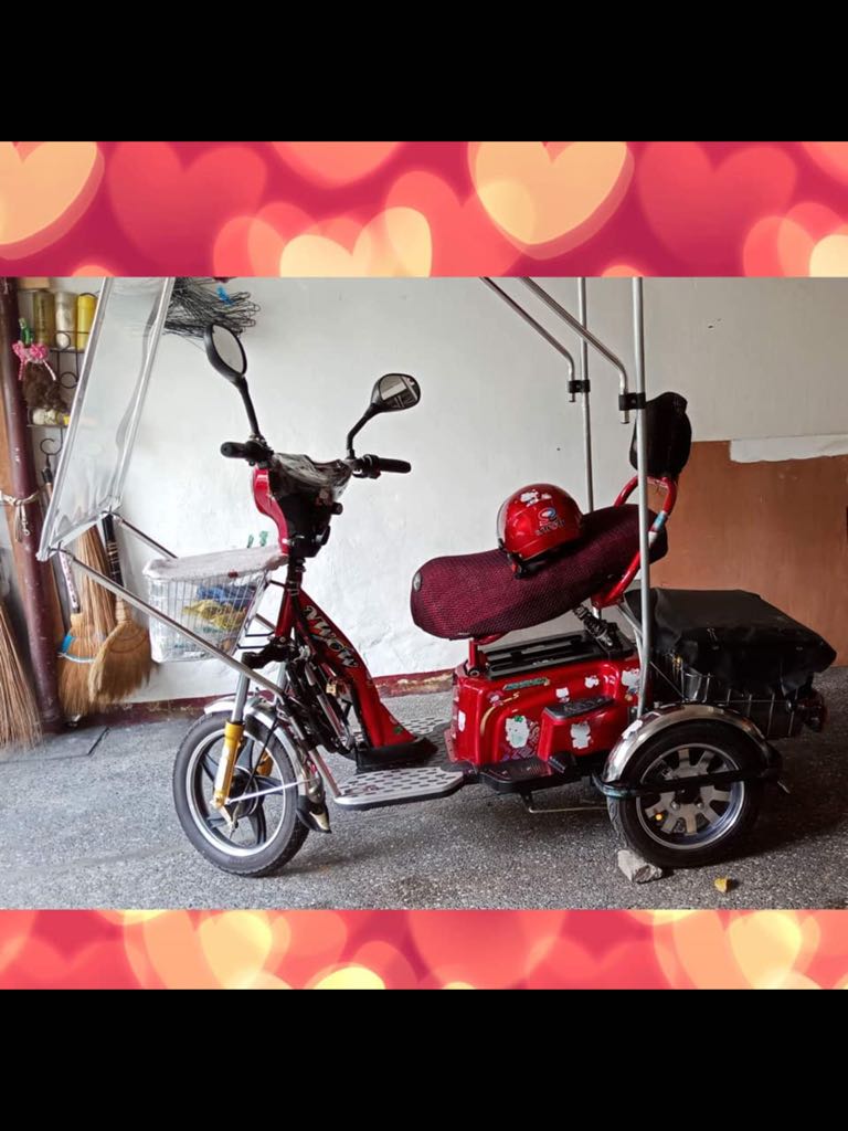 Small erv electric hotsell bike